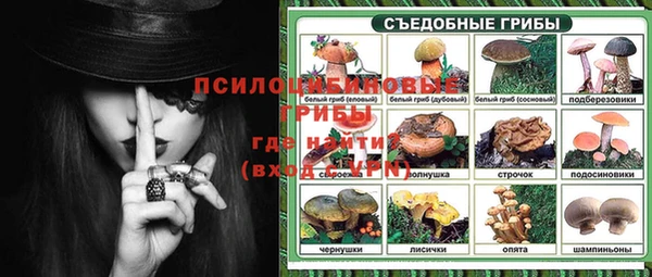 2c-b Алзамай